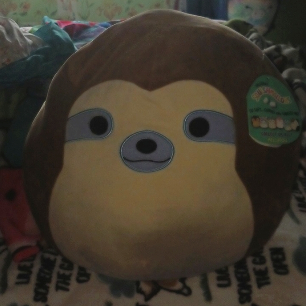 Squishmallow - Picture 1 of 2